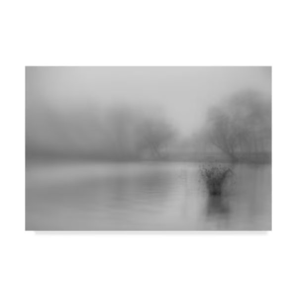Edit Hokker 'Haiku Gray' Canvas Art, 30x47, Trademark Fine Art, Mfr#: 1X06413-C3047GG